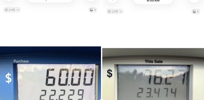 Buckley Carlson tweet media