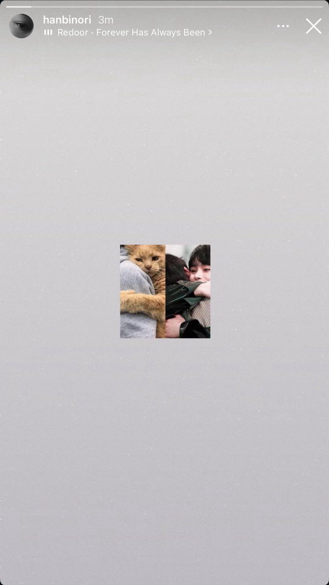 hubiszn's tweet photo. hanbin posting a cat meme (featuring sunoo from enhypen) on his ig story #watdatmean https://t.co/oGwYcmULxP