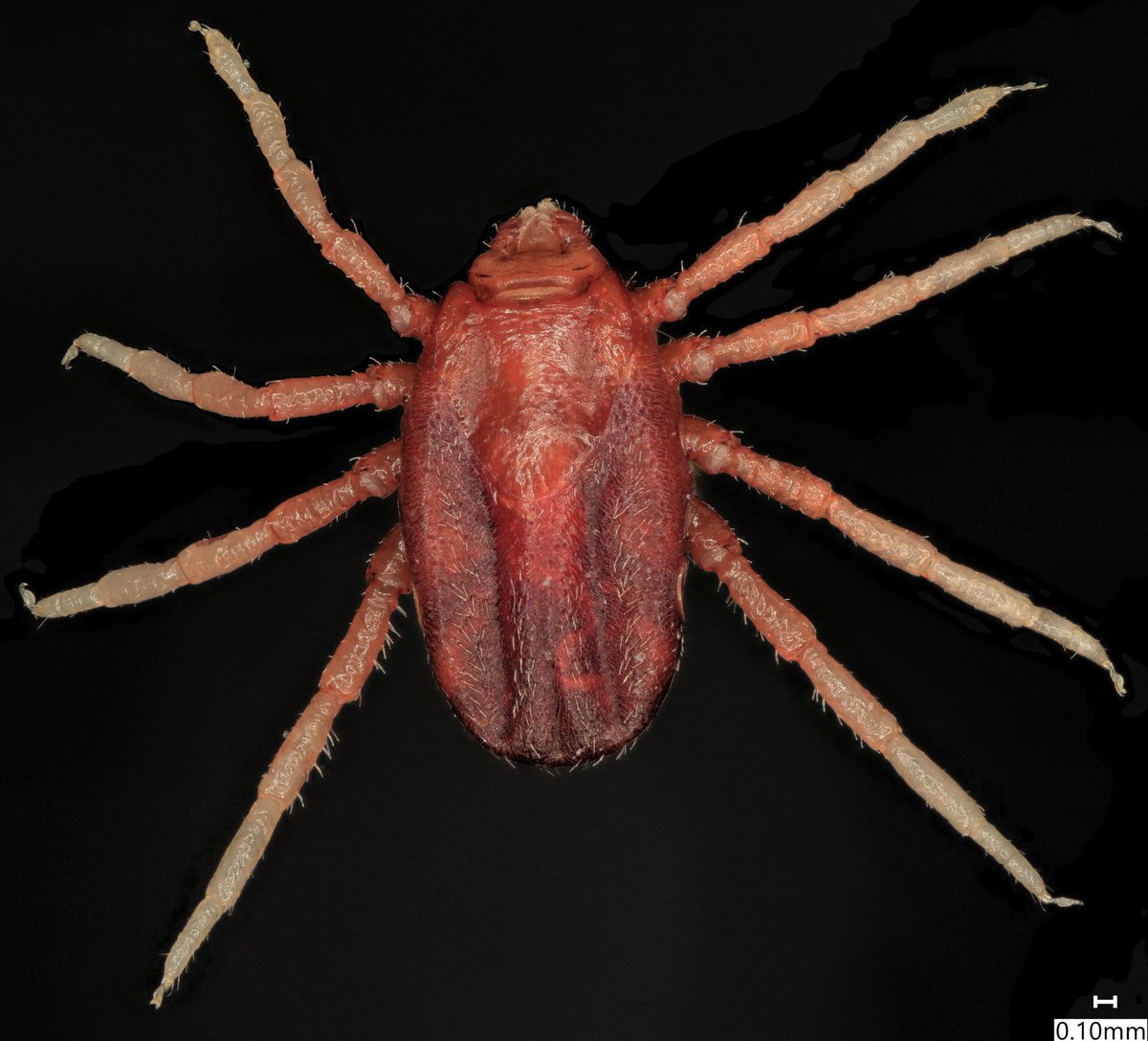 Agricultural Research Service tweet media