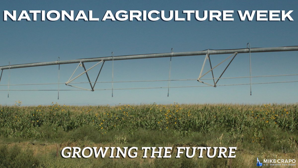 Senator Mike Crapo tweet media