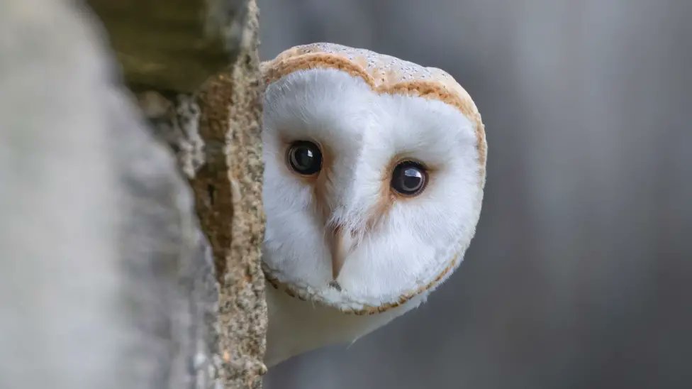 Kitty Thompson🐿 tweet media