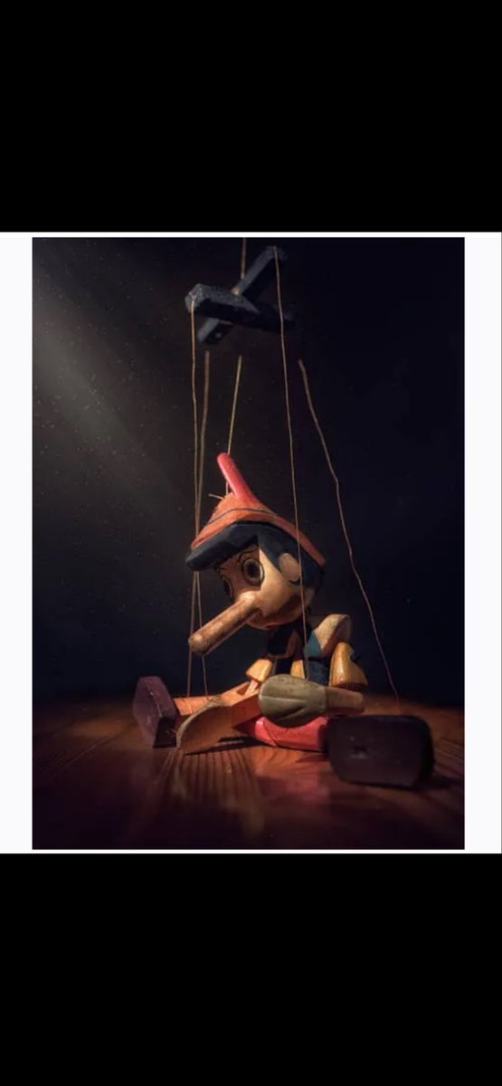JoeThornFreedom's tweet photo. When boys made of wood lie, their nose grows big. We learn this from the movie Pinocchio. It turns out when Zionist Jews continually lie, their eyebrows get busier. We learned this from @benshapiro https://t.co/5CcITOsthq