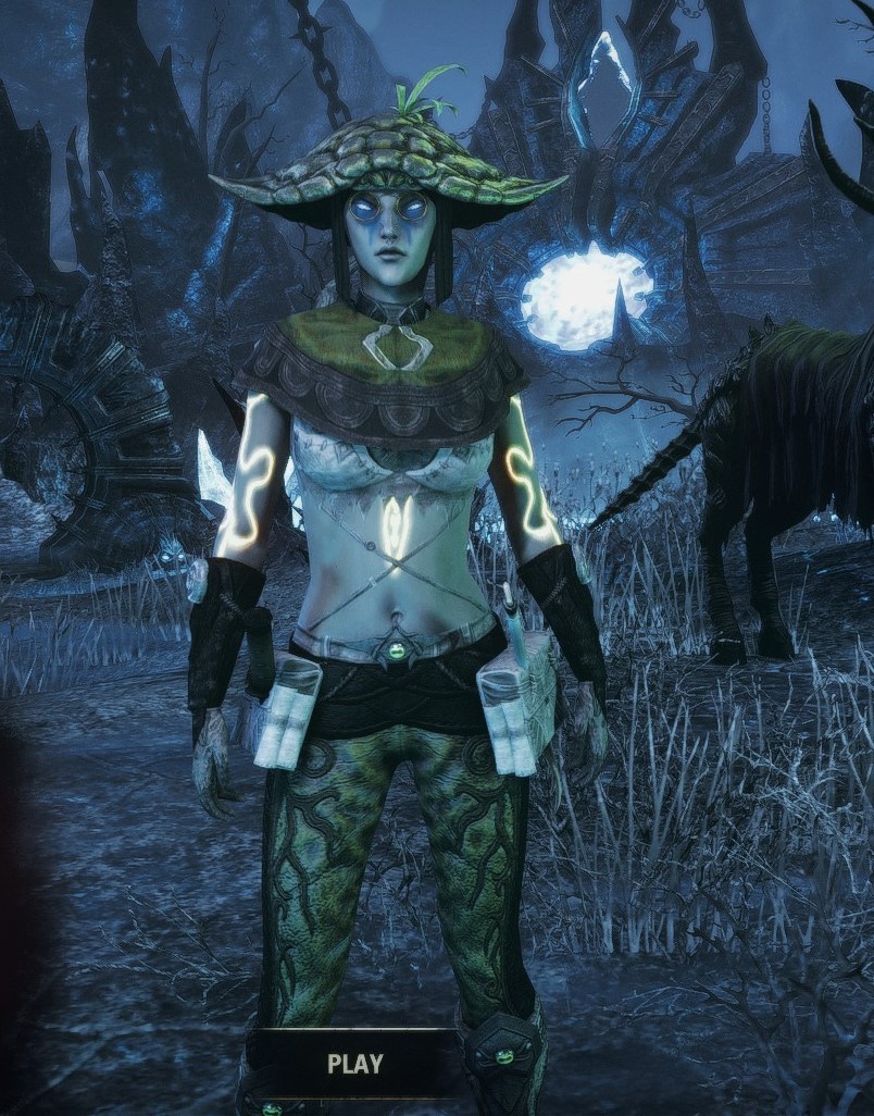 hermitdryad's tweet photo. @kayPOWXD Oh my goodness I would love to see one of my ESO mains in your art style 😍 no pressure of course but if you wanted to have a play these are my two gals whichever you fancy https://t.co/avv6PMpzDa