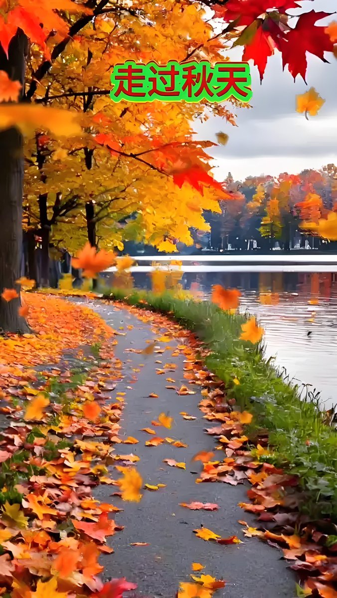 Mark O'Neill tweet media