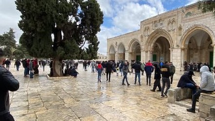 AbwmhmdAls73024's tweet image. #newsofbahrain