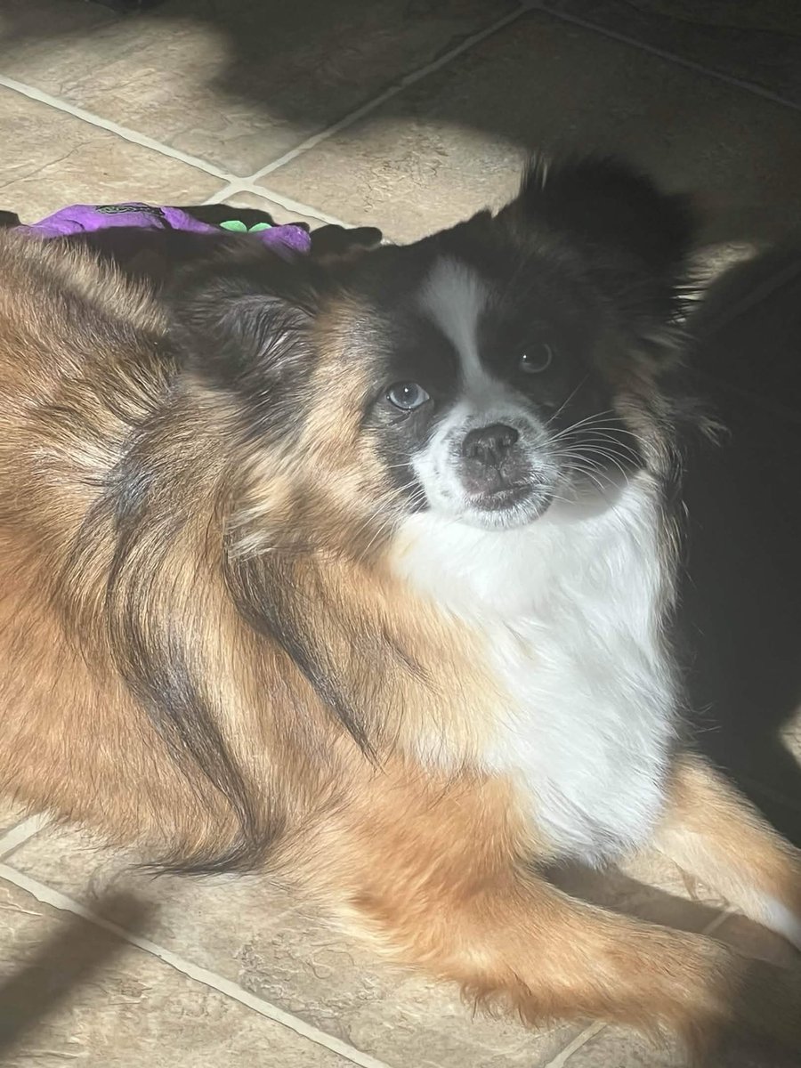 caught her sunbathing 🥺