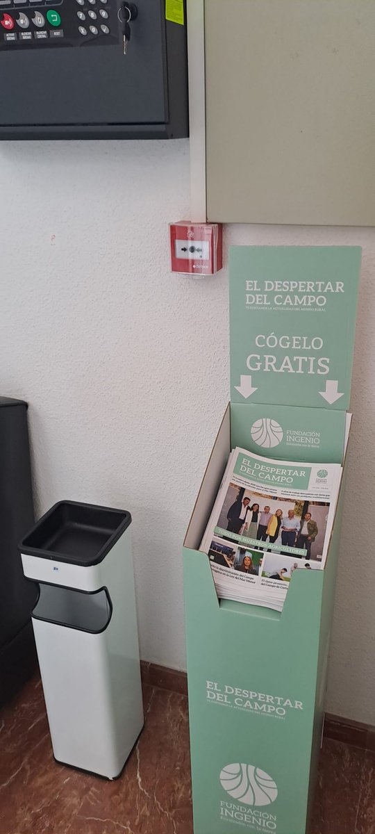 Fundación Ingenio tweet media