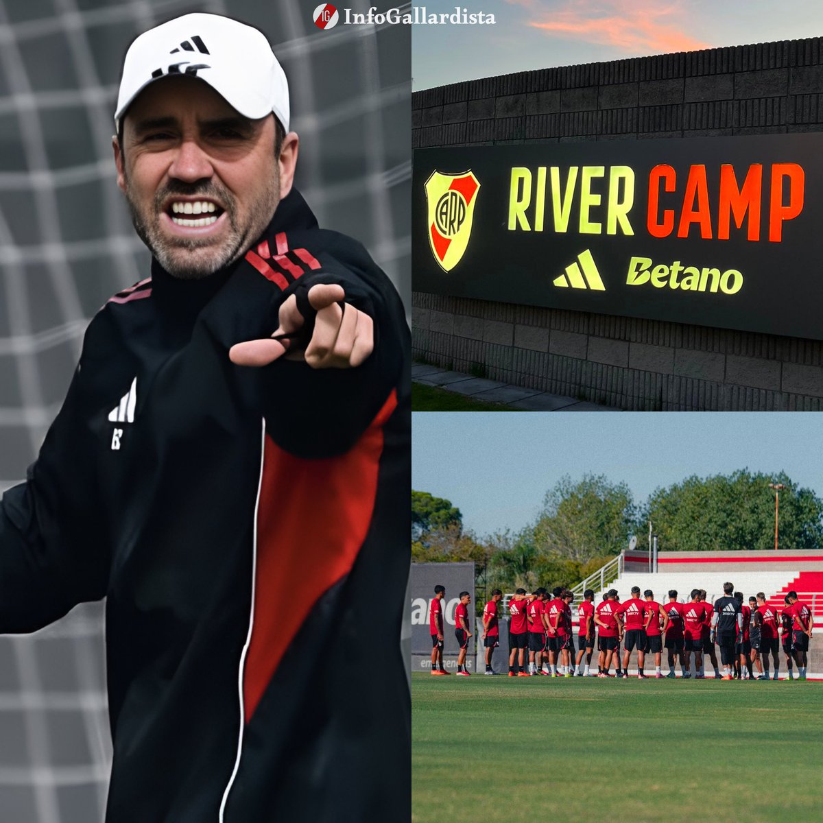 Info Gallardista tweet media