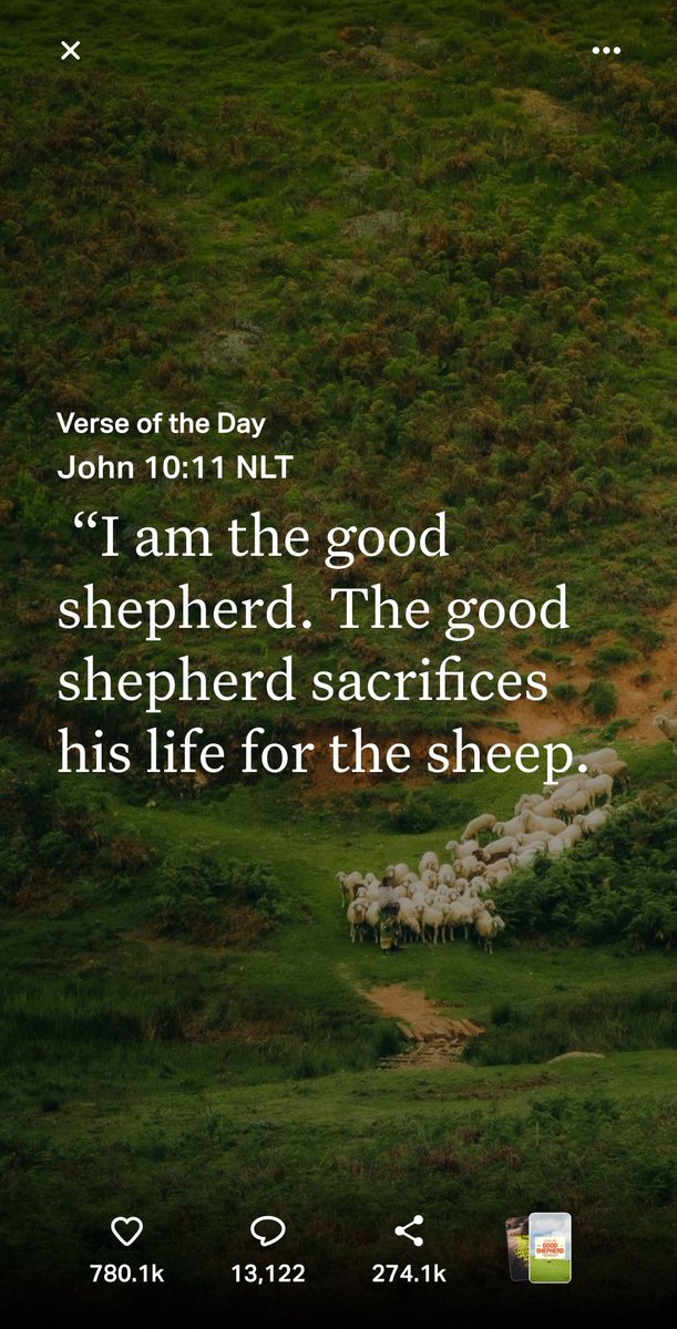 SquidDaBeast tweet media