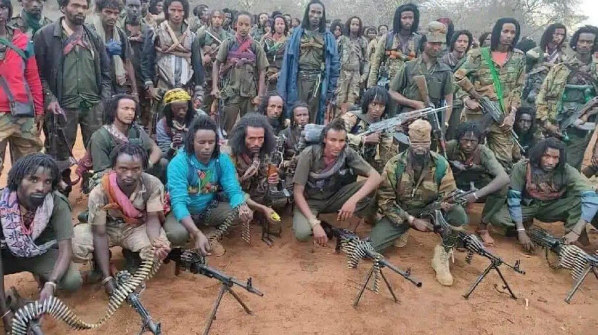 Visegrád 24 tweet media