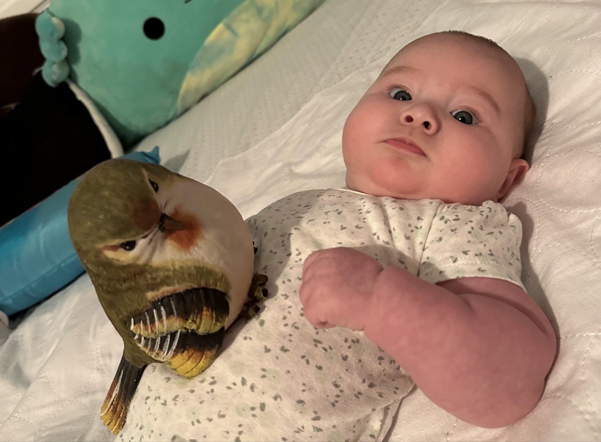 PokeUnc_Stephen tweet media