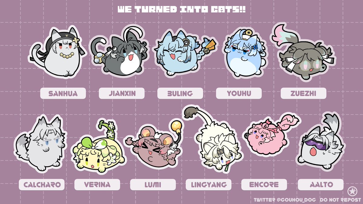 ドッグさん tweet media