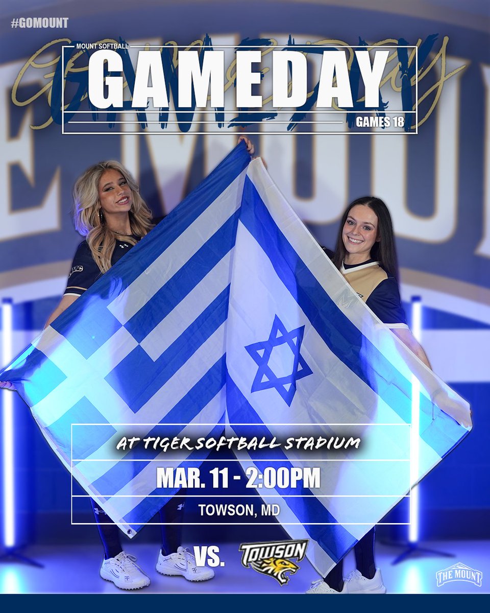 Mount Softball tweet media