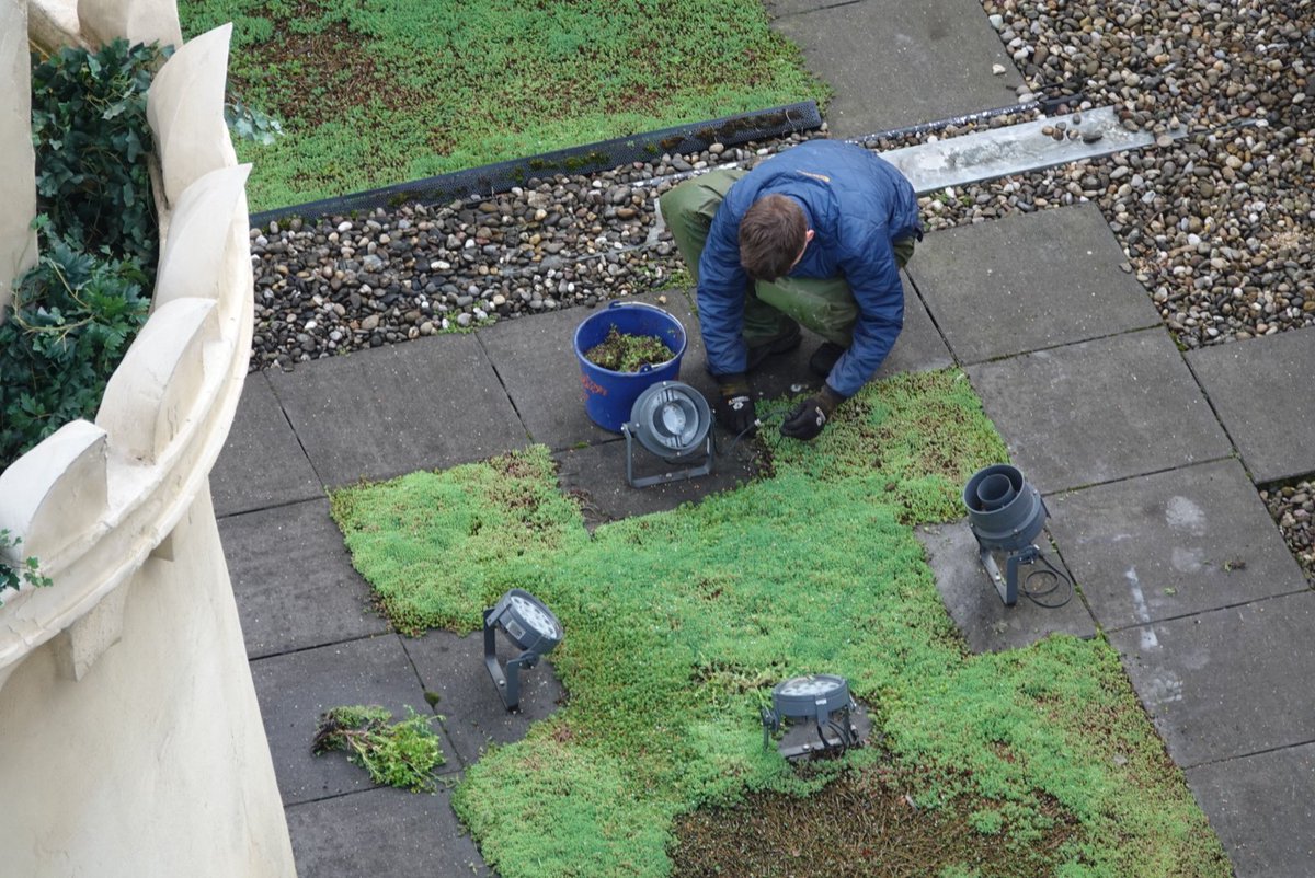 Ze zijn op het dak bezig van #Symbolica. #Efteling #Themepark