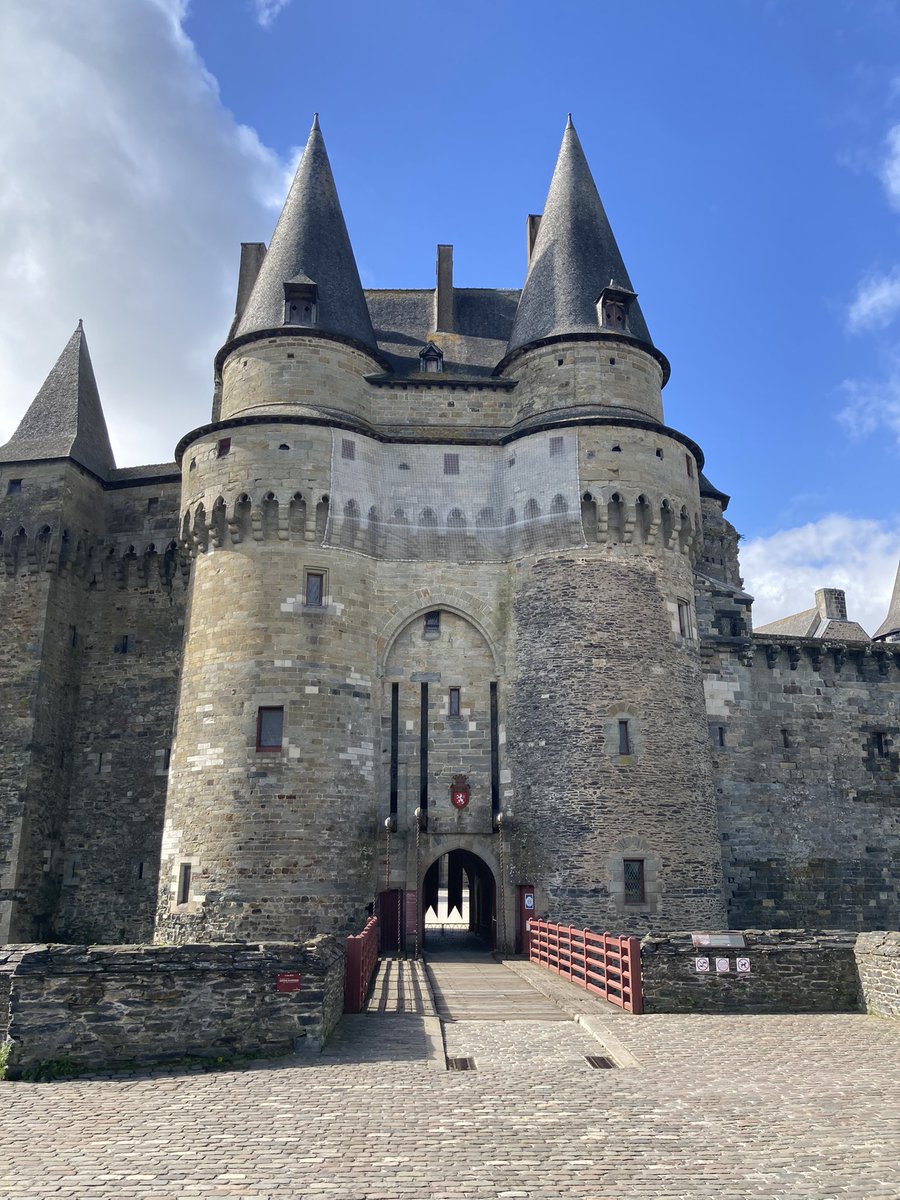 CEO of Breizh 145IQ 🏴✝ #DARKBZH𝍎𝌆 tweet media