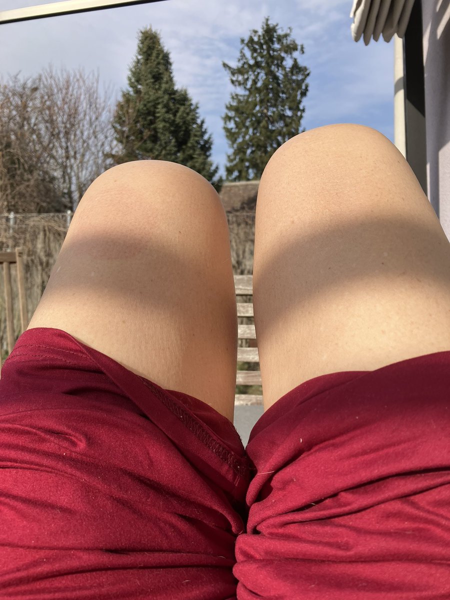 FRAU Königin tweet media