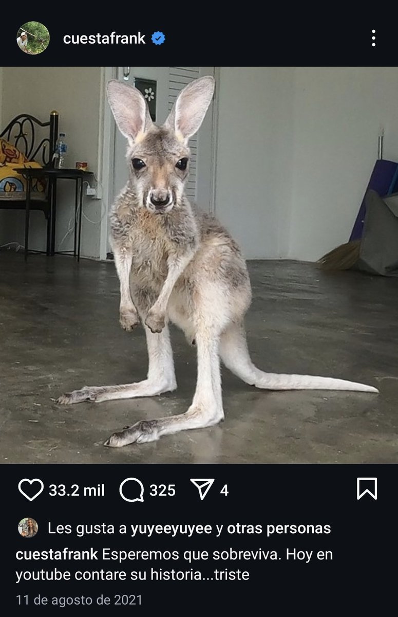 elCANINOclips💣 tweet media