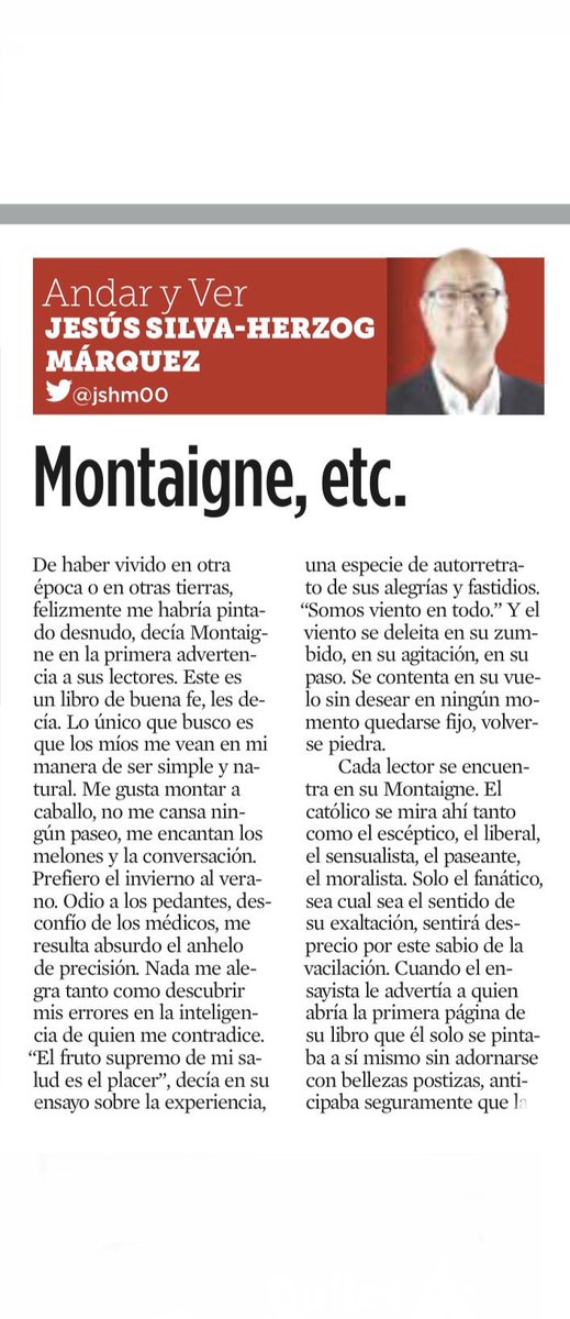 constanza lameiras tweet media