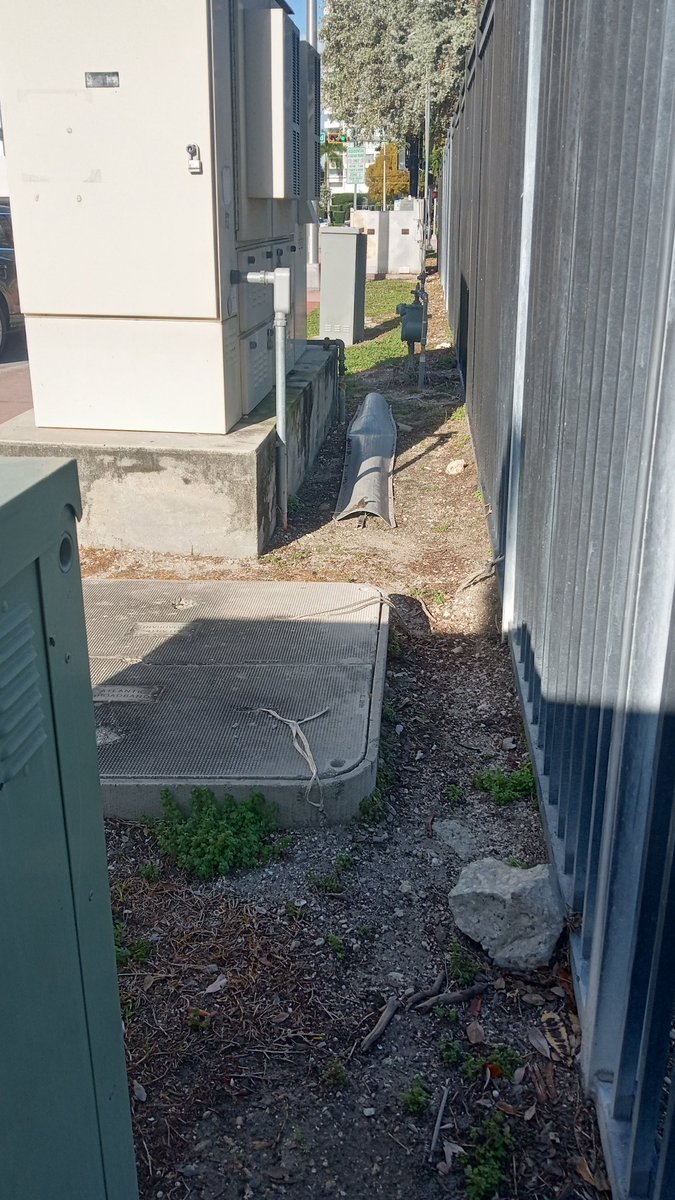 Anthon Meyin tweet media