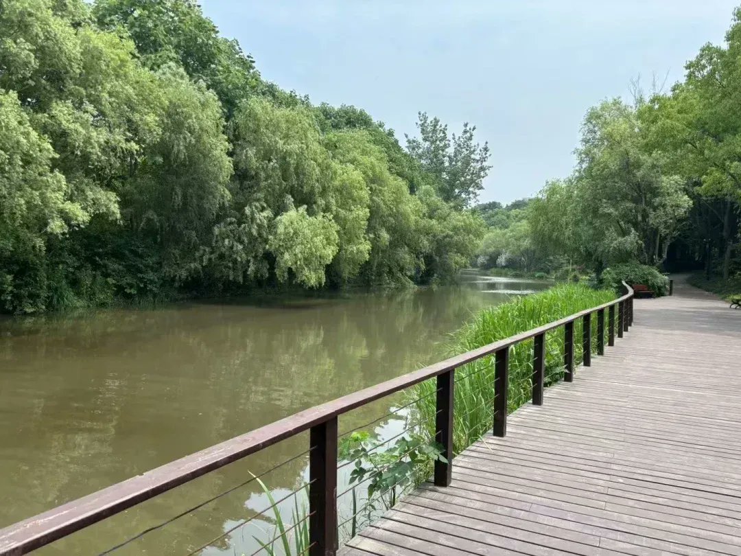 3X Lcug Ledndu tweet media