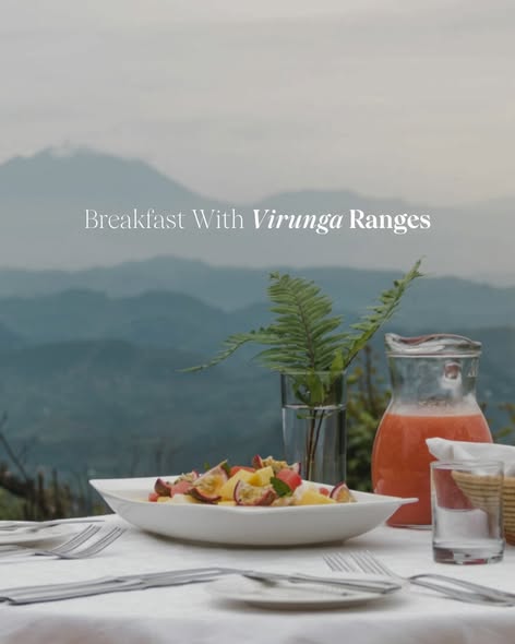 Amazing Life Safaris tweet media