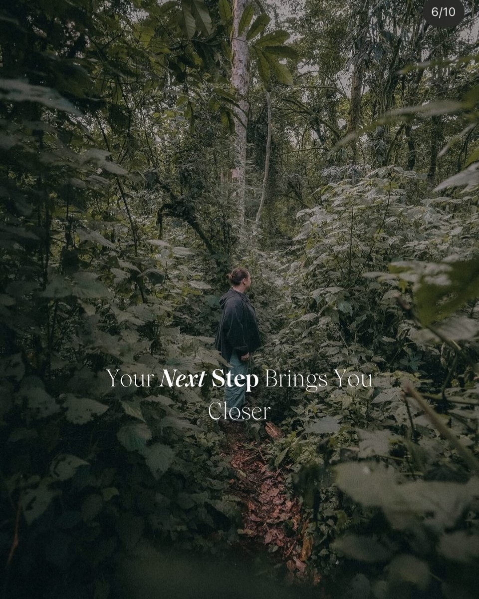 Amazing Life Safaris tweet media