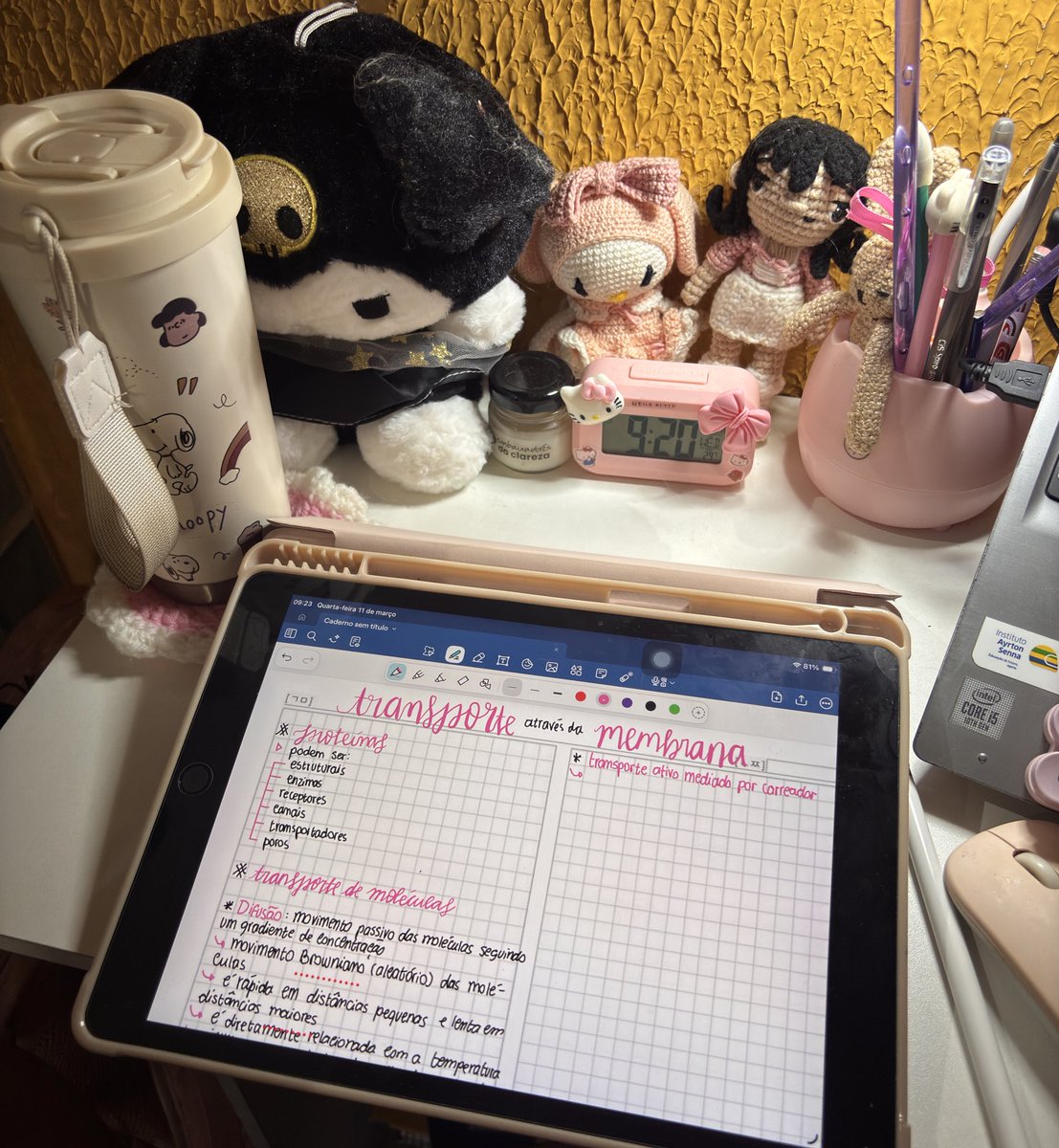 ✧˚ ༘ ⋆｡˚ eli 💊 | aprova 🏷️STUDYELI tweet media