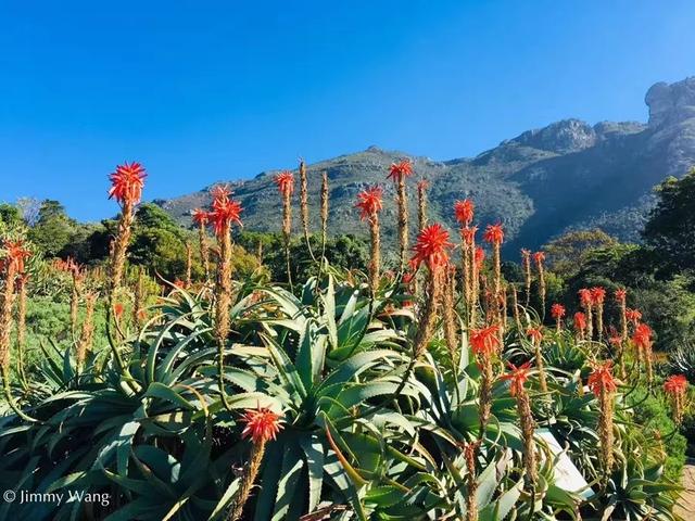 john gilbert d'souza tweet media