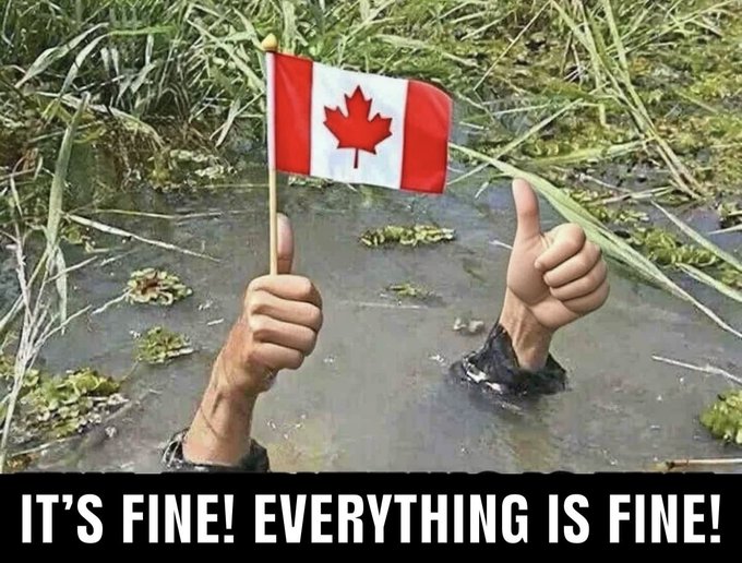 Jeff Griffin tweet media