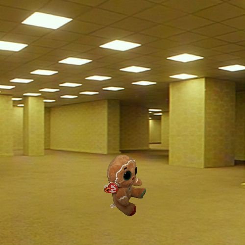nutmeg_updates's tweet photo. We don't know where he is 😟 https://t.co/7PNg3ZO7Xu