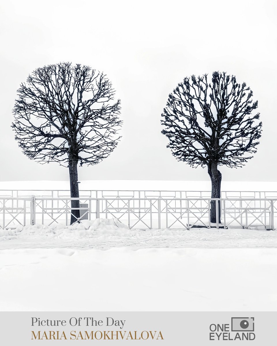 One Eyeland tweet media