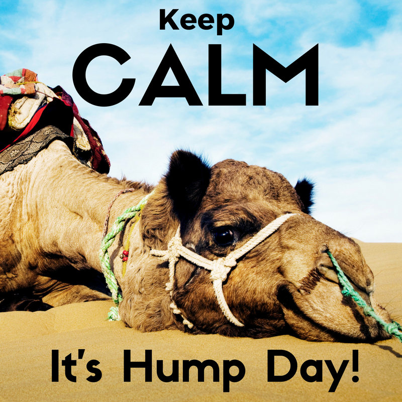 JiffyPrint's tweet photo. Have a great day https://t.co/yNlmI7OfmE