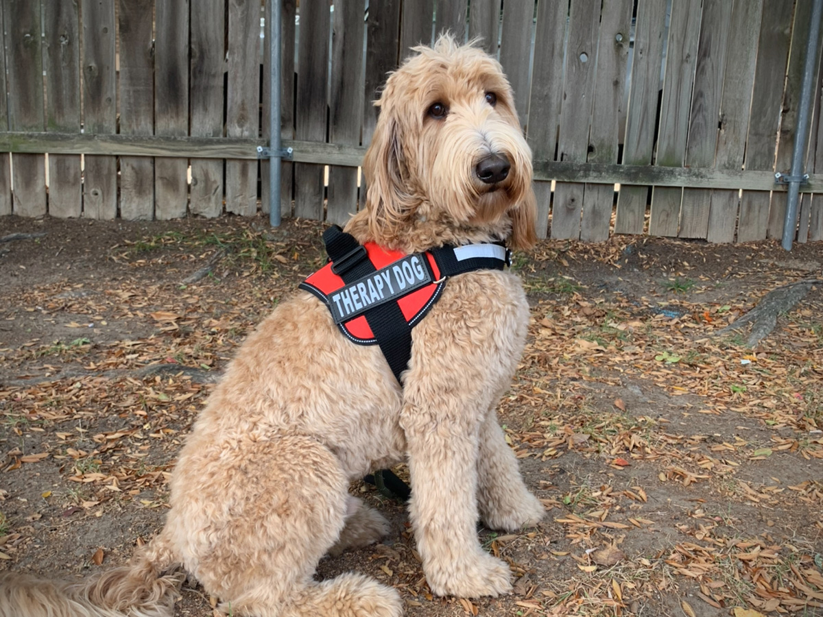 Children's Museum of Memphis tweet media