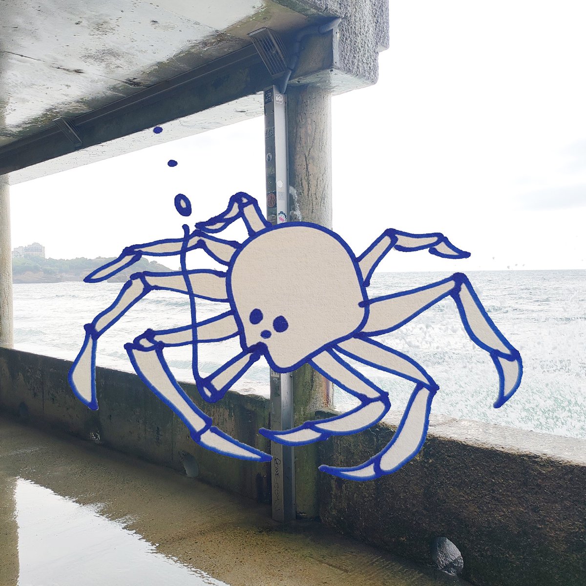 fruttaeverdura tweet media