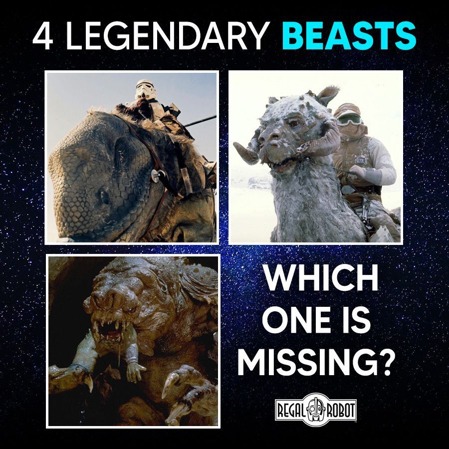 Regal Robot tweet media