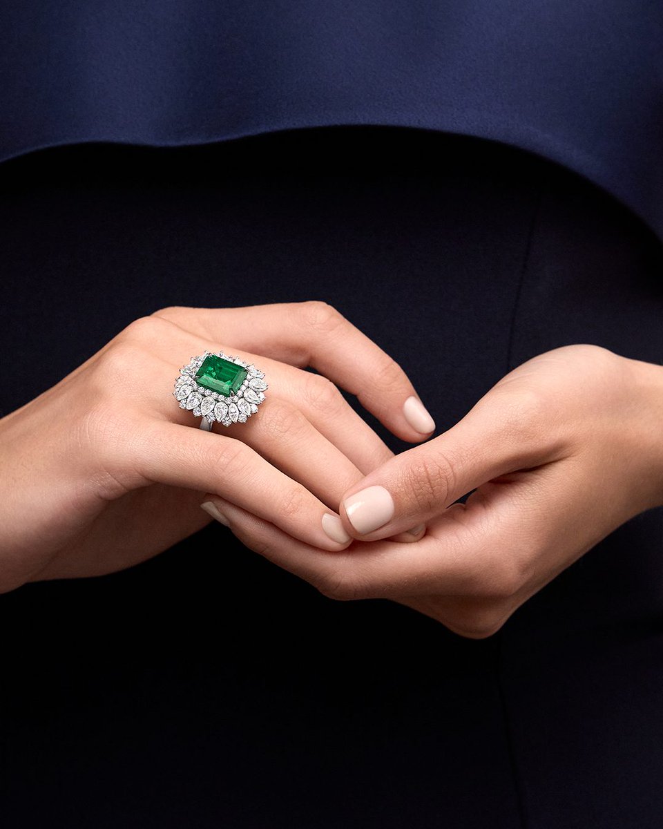 harrywinston tweet media