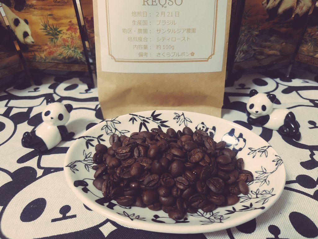 REQSO ┃台熊猫だすく🐼 tweet media
