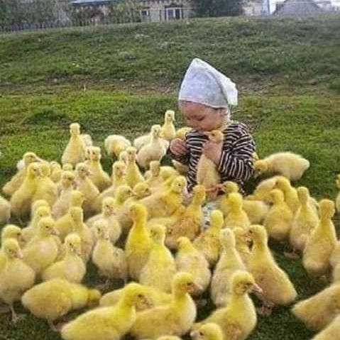 AbwmhmdAls73024's tweet image. #newsofbahrain