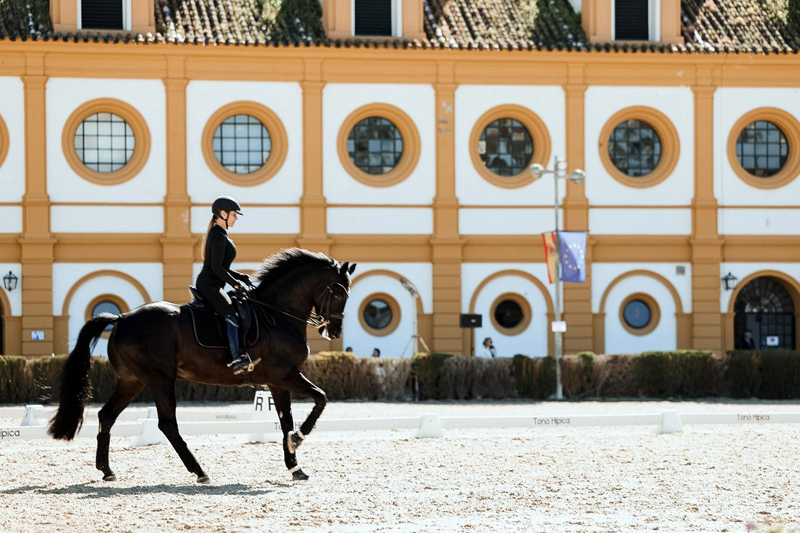 OcioCaballo tweet media