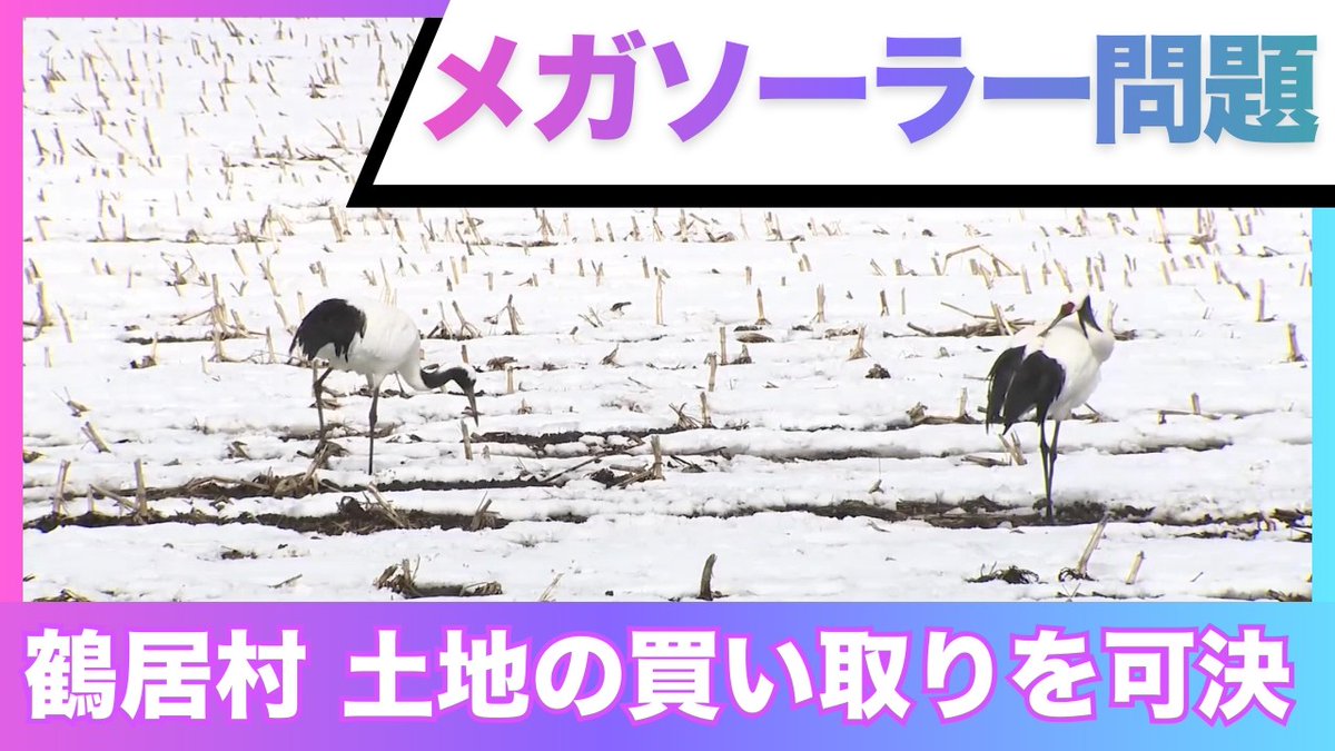 北海道ニュースUHB tweet media
