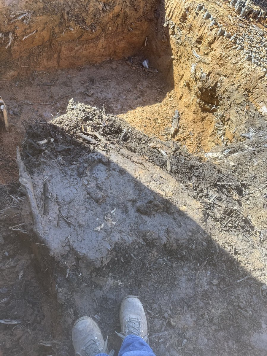 Hal Morgan tweet media