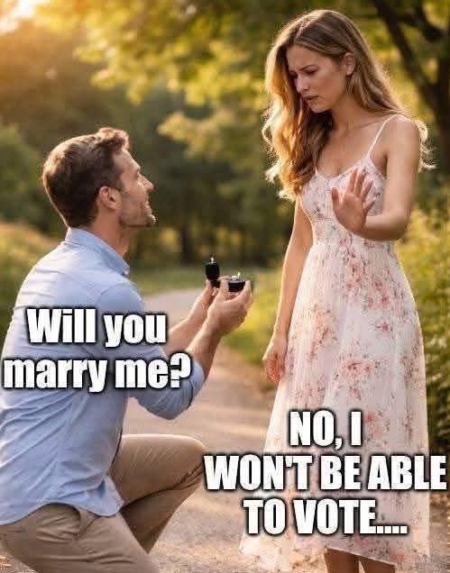 Daniel Hall tweet media