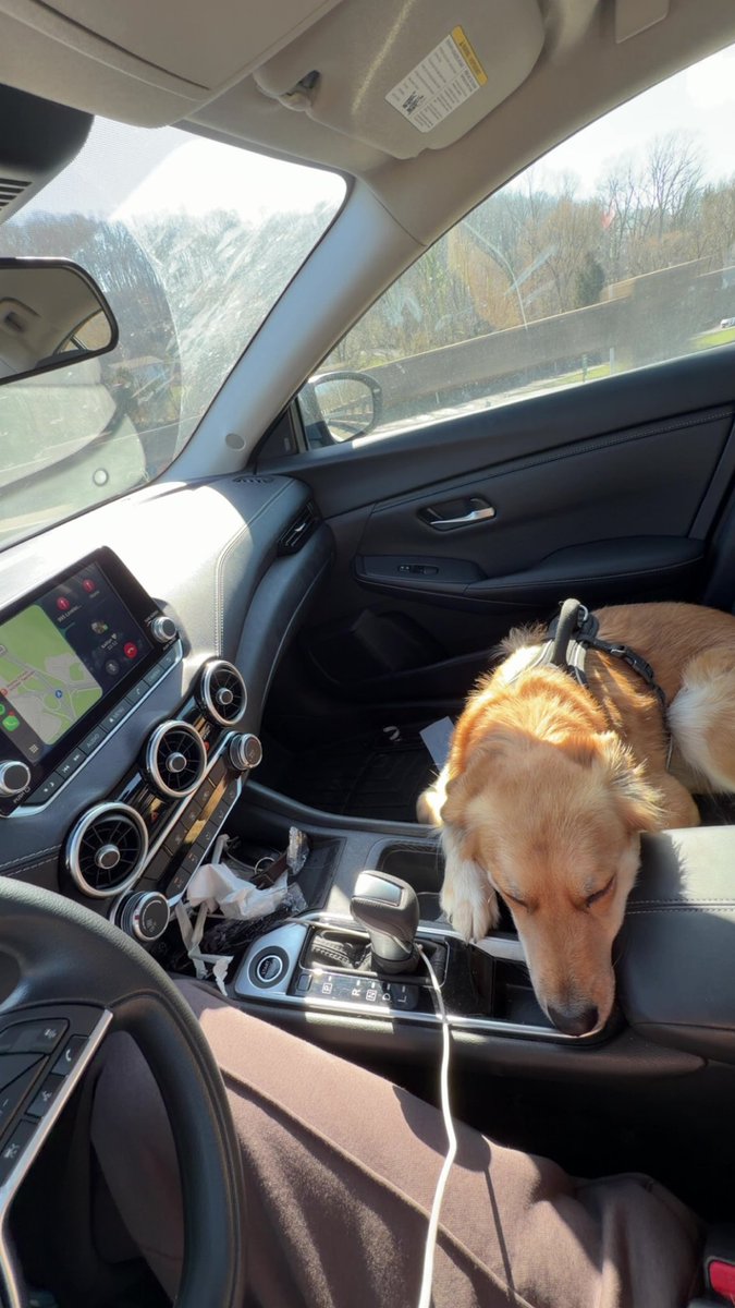 ͏ ͏ ͏ ͏ tweet media