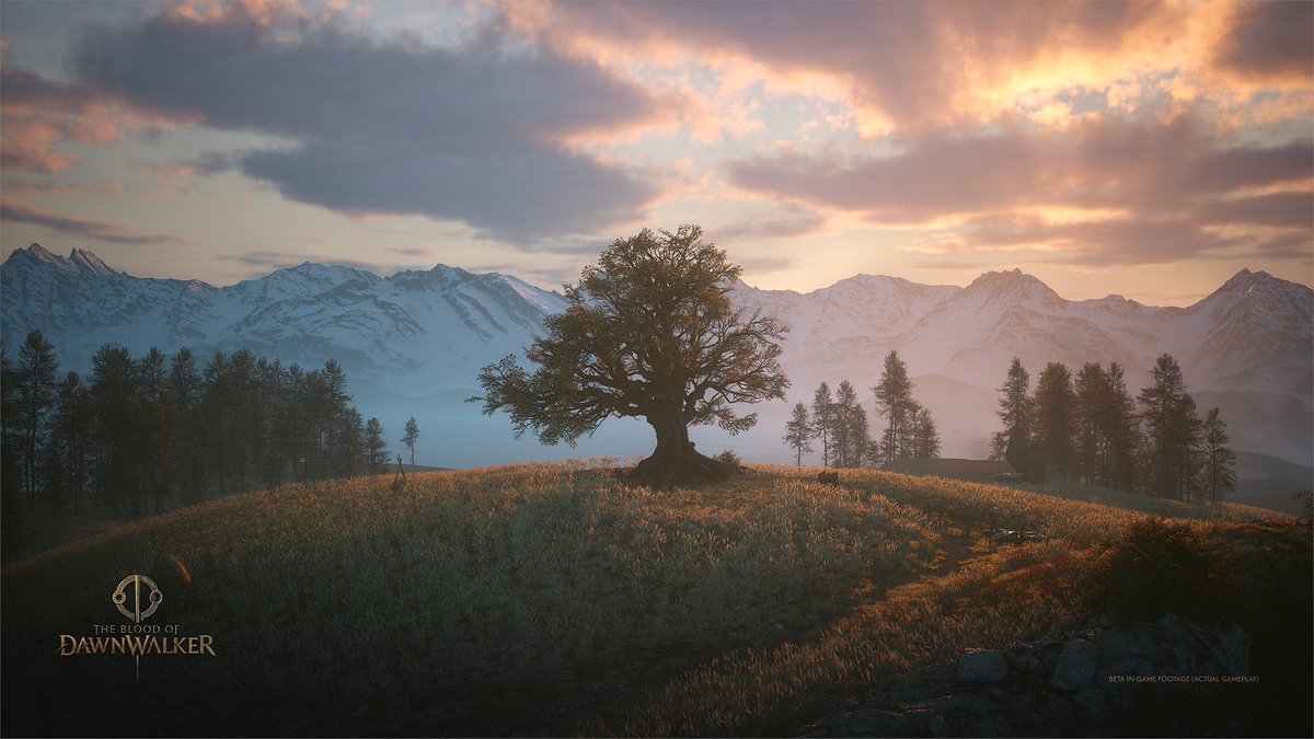 Dawnwalker tweet media