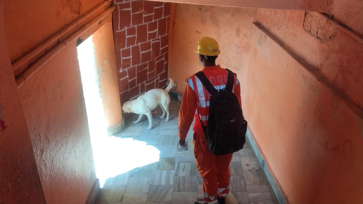 14TH NDRF , NURPUR tweet media