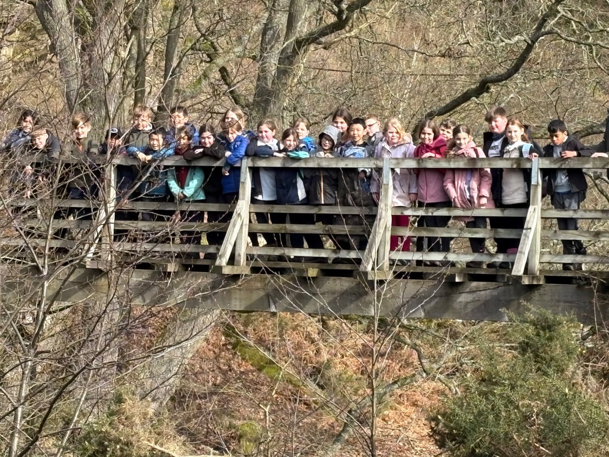 Harston & Newton School tweet media