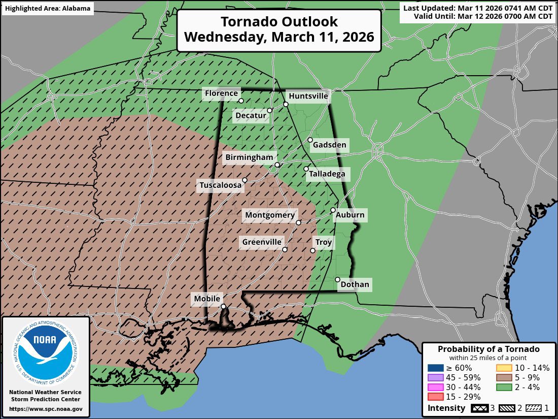 DixieChasing tweet media