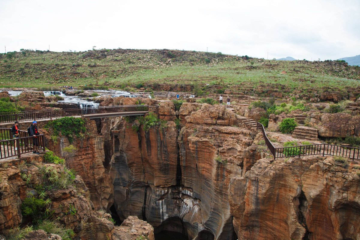 Swadini, A Forever Resort tweet media