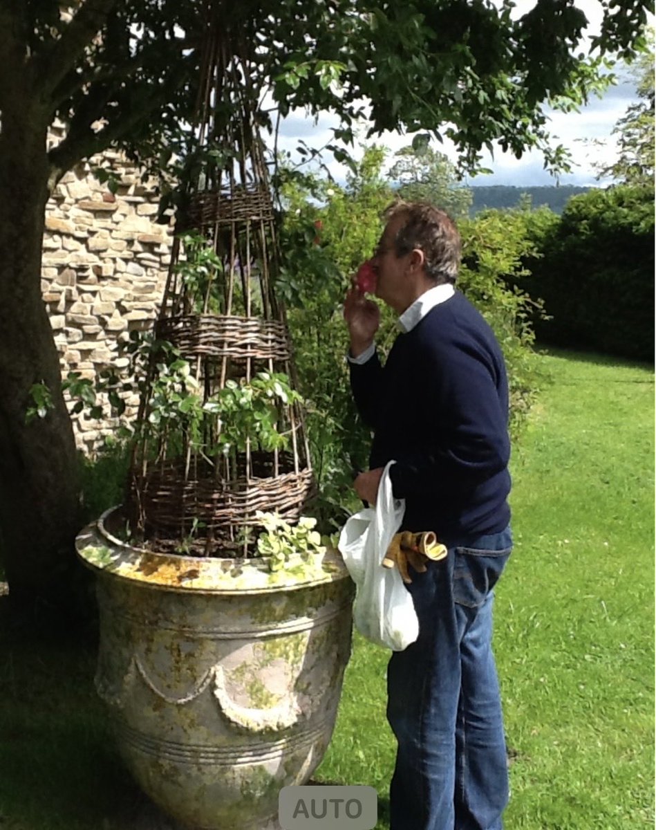 Carol Challis tweet media