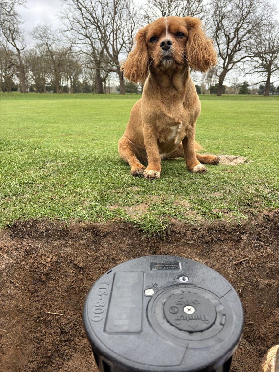 Carl Sharp tweet media